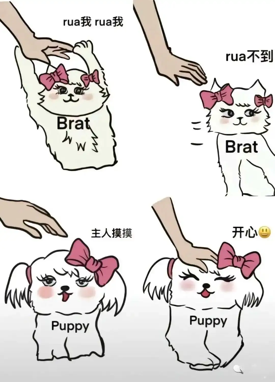 被打方称为“被”、“贝” 或者“b” - 2023_12_05_21_27_IMG_9363