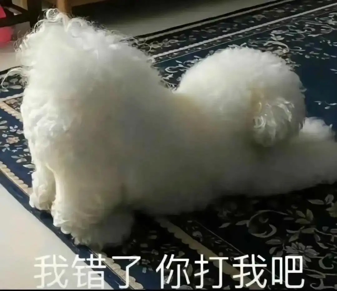 请撰写一篇面向BDSM兴趣社群新人的权威指南文章。 - 2023_12_05_21_26_IMG_9543
