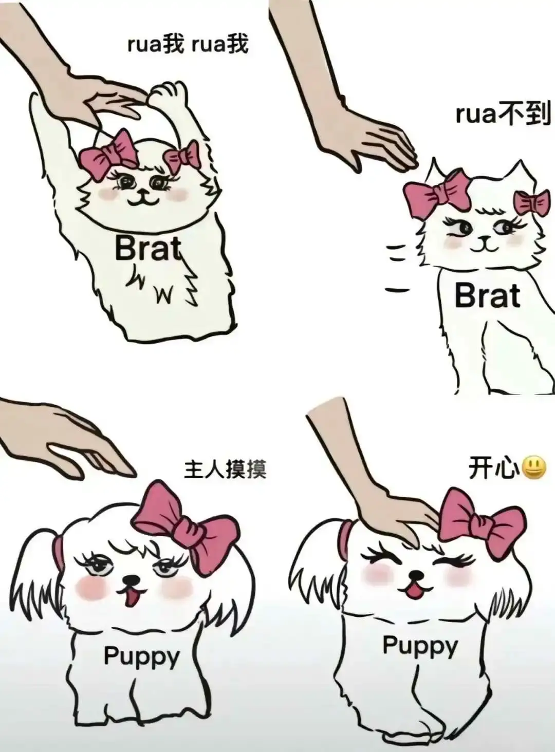 中文常叫“施虐者”或“斯”。核心是在双方自愿前提下 - 2023_12_05_21_27_IMG_9364