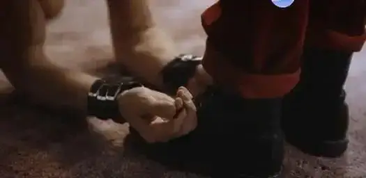 · K9:字母圈 K9 指的是 BDSM 亚文化中的一种角色扮演形式 - 2025-11-13 192310