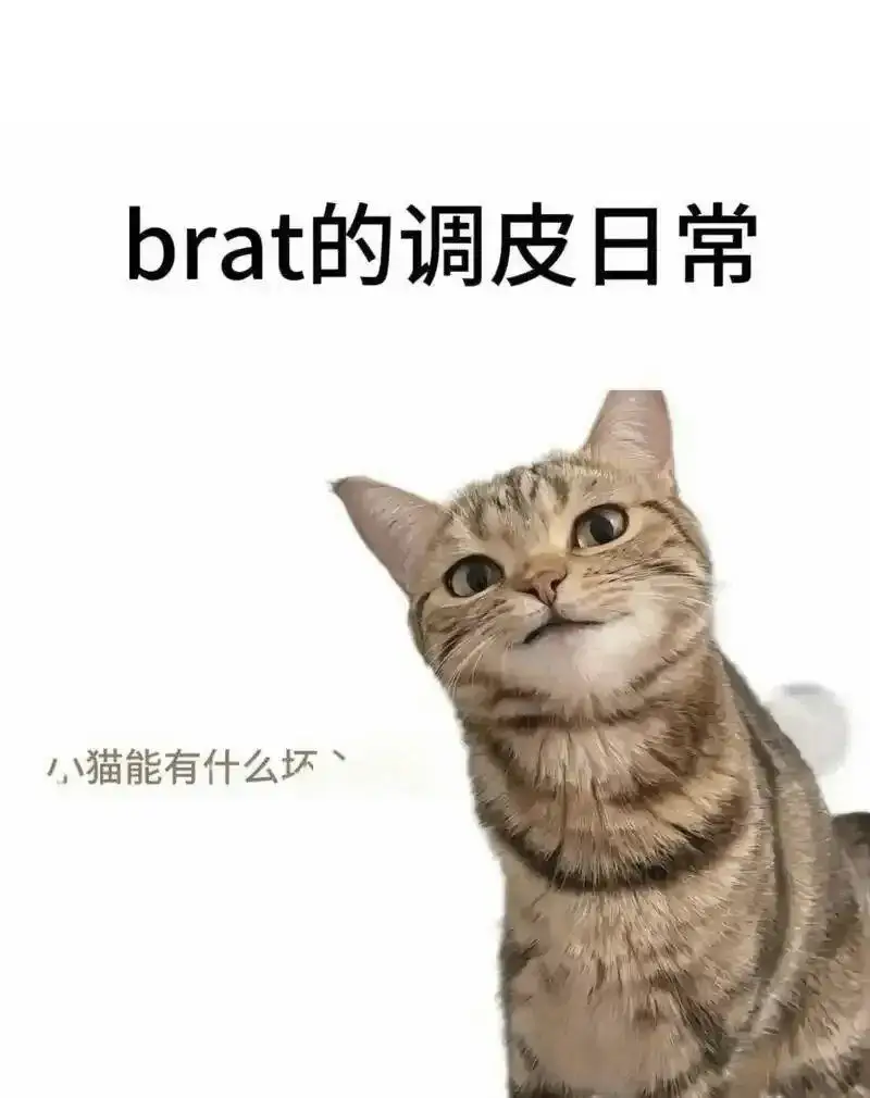 更强调互动中的情趣和情绪价值 - 2025-11-13 192048