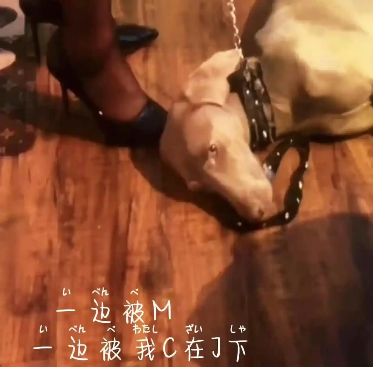 核心在于自愿的支配者(Dom)与臣服者(Sub)之间的信任、角色与动态互动 - 2023_11_07_20_50_IMG_8911